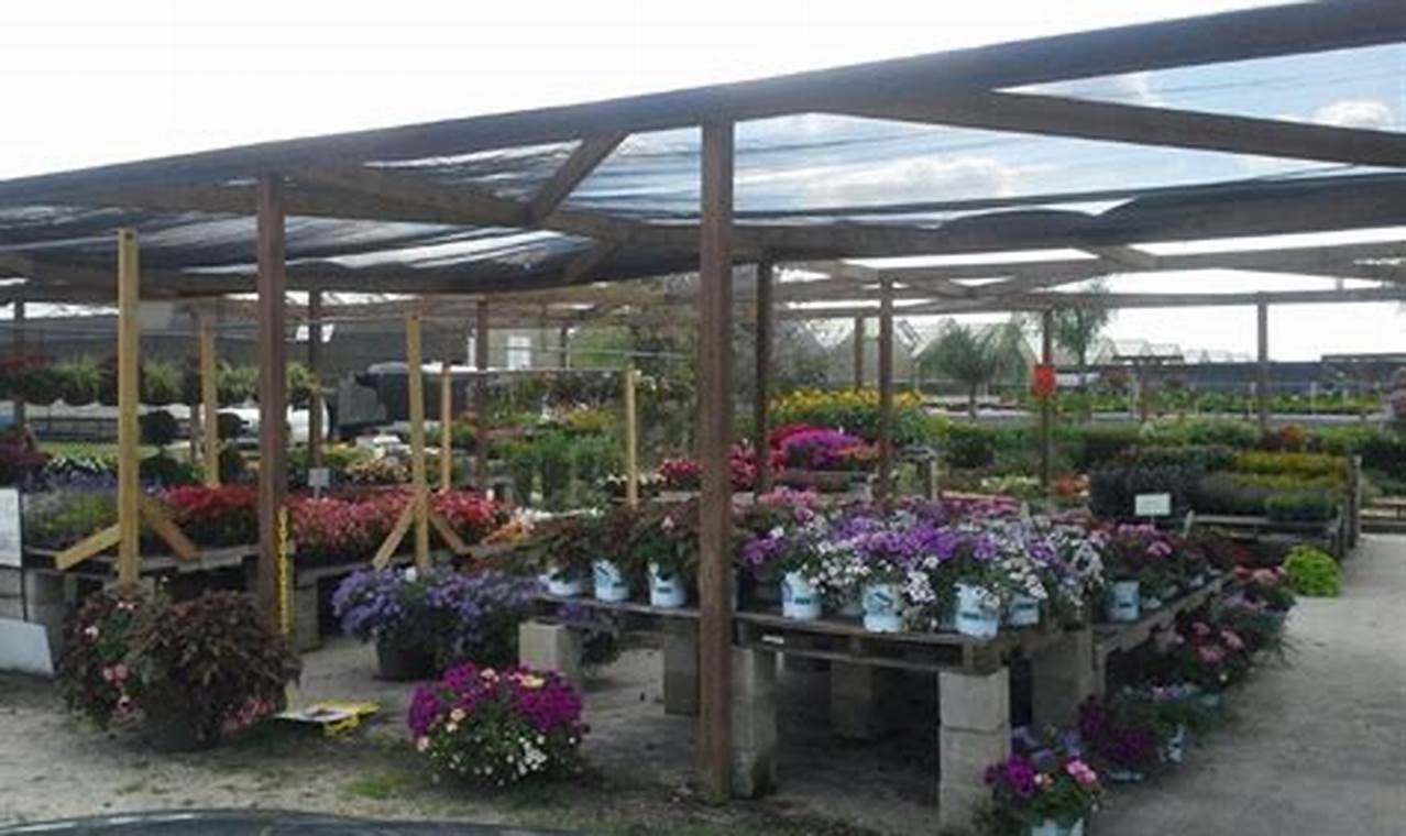 Your Guide: Nursery Winter Garden FL Plants & Tips The Ultimate Gardening Guide: Grow a Thriving Garden Year-Round Your Guide: Nursery Winter Garden FL Plants & Tips | The Ultimate Gardening Guide: Grow a Thriving Garden Year-Round