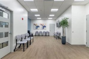 Grow Your ENT Winter Garden: Tips & Ideas The Ultimate Gardening Guide: Grow a Thriving Garden Year-Round Grow Your ENT Winter Garden: Tips & Ideas | The Ultimate Gardening Guide: Grow a Thriving Garden Year-Round