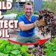 Winter's Gift: Brown Fertility Winter Garden Tips | The Ultimate Gardening Guide: Grow a Thriving Garden Year-Round