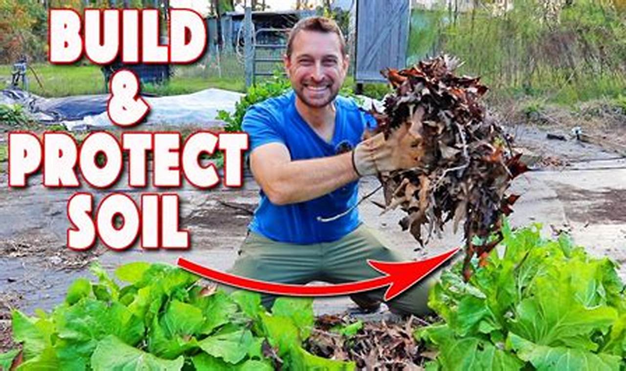 Winter's Gift: Brown Fertility Winter Garden Tips | The Ultimate Gardening Guide: Grow a Thriving Garden Year-Round