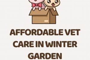 Winter's Affordable Vet Care in Winter Garden, FL | The Ultimate Gardening Guide: Grow a Thriving Garden Year-Round