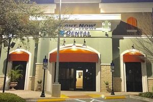 Bright Now Dental Winter Garden: Your Winter Smile! | The Ultimate Gardening Guide: Grow a Thriving Garden Year-Round