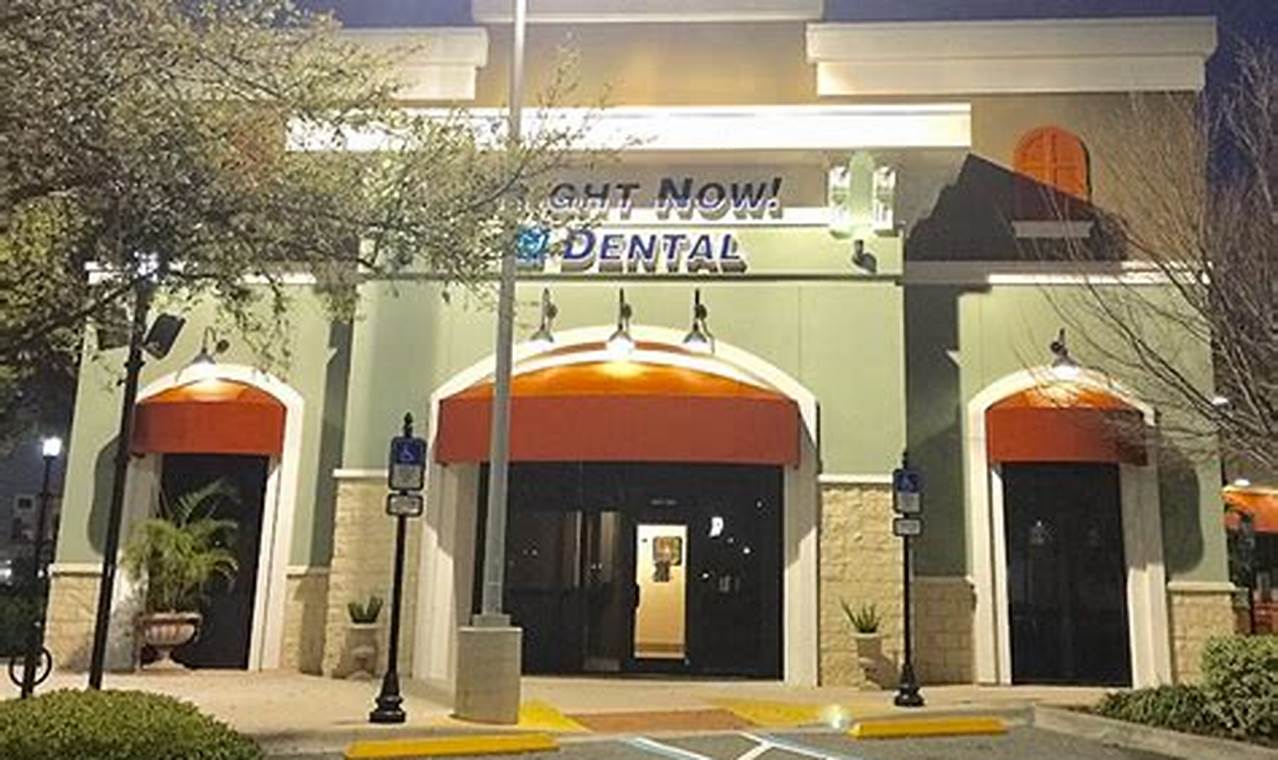 Bright Now Dental Winter Garden: Your Winter Smile! | The Ultimate Gardening Guide: Grow a Thriving Garden Year-Round