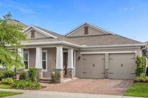 Design a Chevron Winter Garden: Beauty in Winter! | The Ultimate Gardening Guide: Grow a Thriving Garden Year-Round