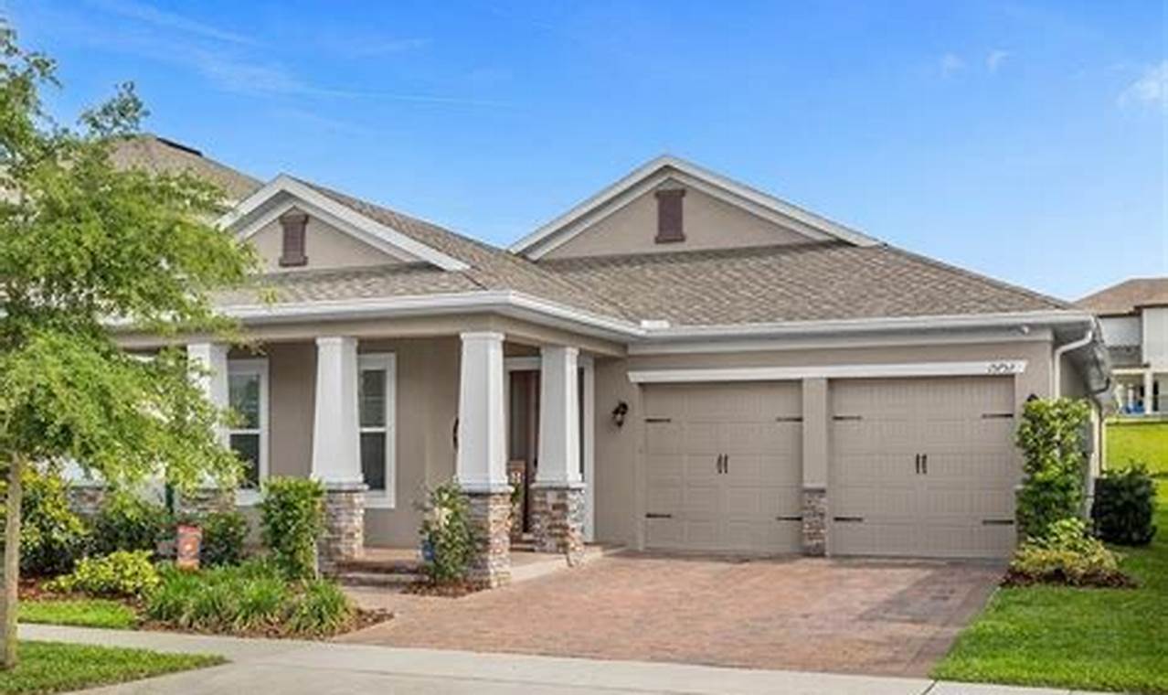 Design a Chevron Winter Garden: Beauty in Winter! | The Ultimate Gardening Guide: Grow a Thriving Garden Year-Round