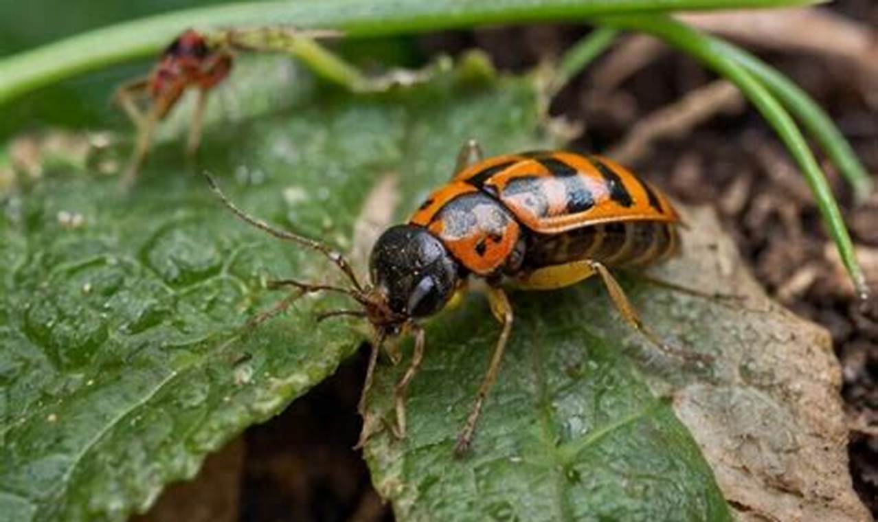 Winter's End: Exterminator Winter Garden Pros The Ultimate Gardening Guide: Grow a Thriving Garden Year-Round Winter's End: Exterminator Winter Garden Pros | The Ultimate Gardening Guide: Grow a Thriving Garden Year-Round