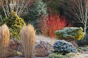 Best Plants for a Winter Garden: Beauty in Bloom | The Ultimate Gardening Guide: Grow a Thriving Garden Year-Round