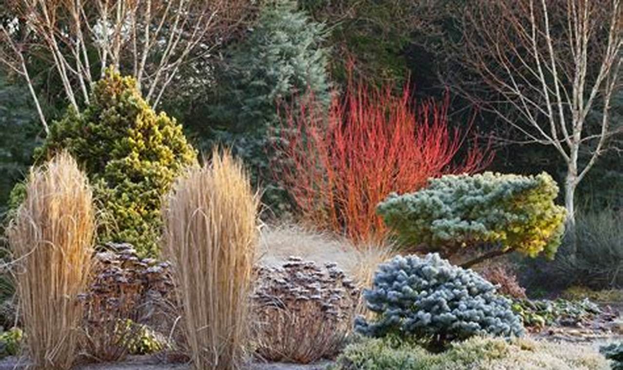 Best Plants for a Winter Garden: Beauty in Bloom | The Ultimate Gardening Guide: Grow a Thriving Garden Year-Round