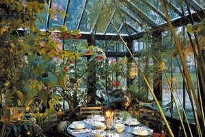 Grow Your Indoor Winter Garden: Tips & Ideas The Ultimate Gardening Guide: Grow a Thriving Garden Year-Round Grow Your Indoor Winter Garden: Tips & Ideas | The Ultimate Gardening Guide: Grow a Thriving Garden Year-Round