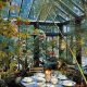 Grow Your Indoor Winter Garden: Tips & Ideas | The Ultimate Gardening Guide: Grow a Thriving Garden Year-Round