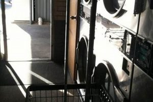 Best Winter Garden Laundromat: FL's Cleanest! The Ultimate Gardening Guide: Grow a Thriving Garden Year-Round Best Winter Garden Laundromat: FL's Cleanest! | The Ultimate Gardening Guide: Grow a Thriving Garden Year-Round