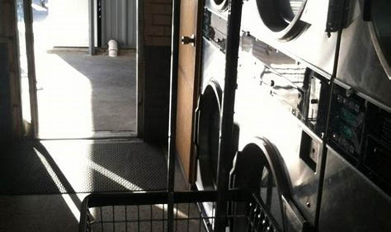 Best Winter Garden Laundromat: FL's Cleanest! | The Ultimate Gardening Guide: Grow a Thriving Garden Year-Round