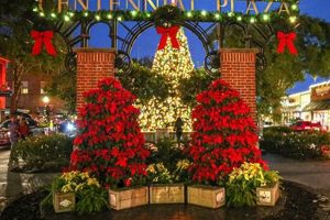 Winter Garden Christmas Lights: Festive Outdoor Magic The Ultimate Gardening Guide: Grow a Thriving Garden Year-Round Winter Garden Christmas Lights: Festive Outdoor Magic | The Ultimate Gardening Guide: Grow a Thriving Garden Year-Round
