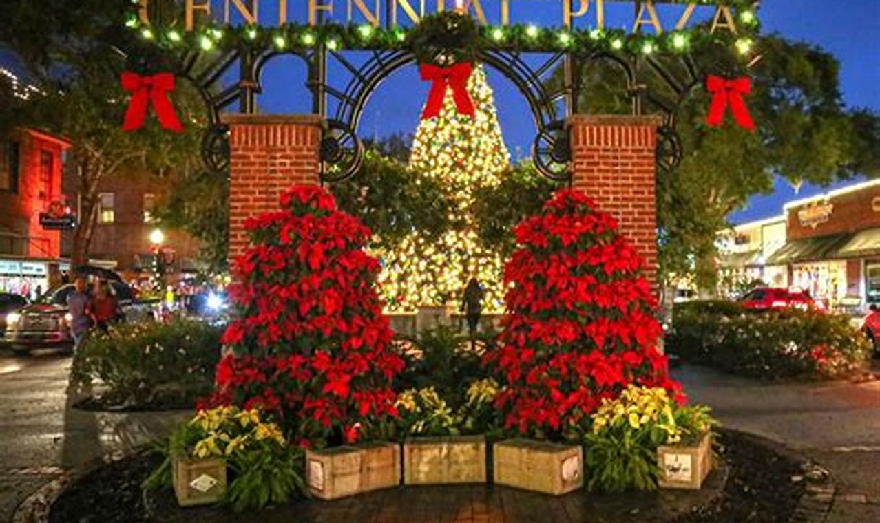 Winter Garden Christmas Lights: Festive Outdoor Magic The Ultimate Gardening Guide: Grow a Thriving Garden Year-Round Winter Garden Christmas Lights: Festive Outdoor Magic | The Ultimate Gardening Guide: Grow a Thriving Garden Year-Round
