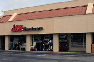 Winter Garden's Bray Ace Hardware FL: Your Home HQ | The Ultimate Gardening Guide: Grow a Thriving Garden Year-Round