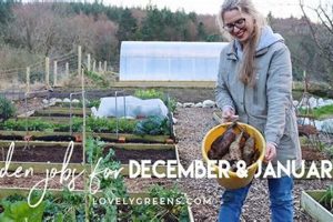 Best Winter Garden Jobs Near Me: Apply Now! The Ultimate Gardening Guide: Grow a Thriving Garden Year-Round Best Winter Garden Jobs Near Me: Apply Now! | The Ultimate Gardening Guide: Grow a Thriving Garden Year-Round