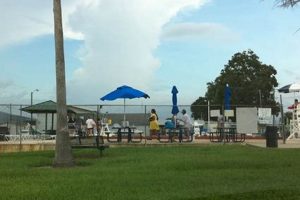 Ultimate Farnsworth Pool Winter Garden Oasis Ideas The Ultimate Gardening Guide: Grow a Thriving Garden Year-Round Ultimate Farnsworth Pool Winter Garden Oasis Ideas | The Ultimate Gardening Guide: Grow a Thriving Garden Year-Round