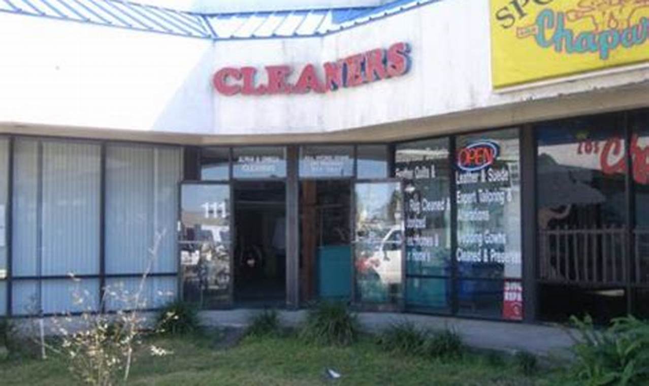 Top Rated: Dry Cleaners Winter Garden FL Near You The Ultimate Gardening Guide: Grow a Thriving Garden Year-Round Top Rated: Dry Cleaners Winter Garden FL Near You | The Ultimate Gardening Guide: Grow a Thriving Garden Year-Round