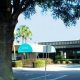 Find Winter Garden Nursing Homes: Costs &amp; Care Options | The Ultimate Gardening Guide: Grow a Thriving Garden Year-Round