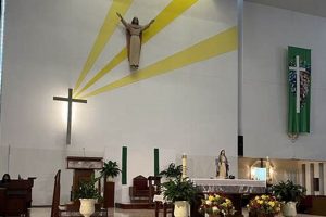 Your Guide: Resurrection Catholic Church Winter Garden, FL | The Ultimate Gardening Guide: Grow a Thriving Garden Year-Round