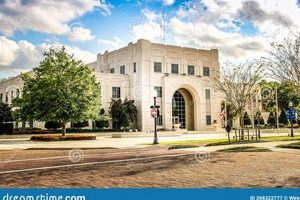 Visiting Winter Garden City Hall: Events &amp; Info | The Ultimate Gardening Guide: Grow a Thriving Garden Year-Round