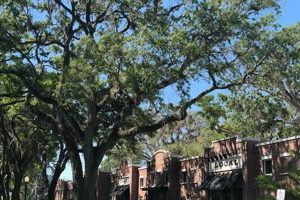 Winter Fun: O Que Fazer em Winter Garden, Florida | The Ultimate Gardening Guide: Grow a Thriving Garden Year-Round