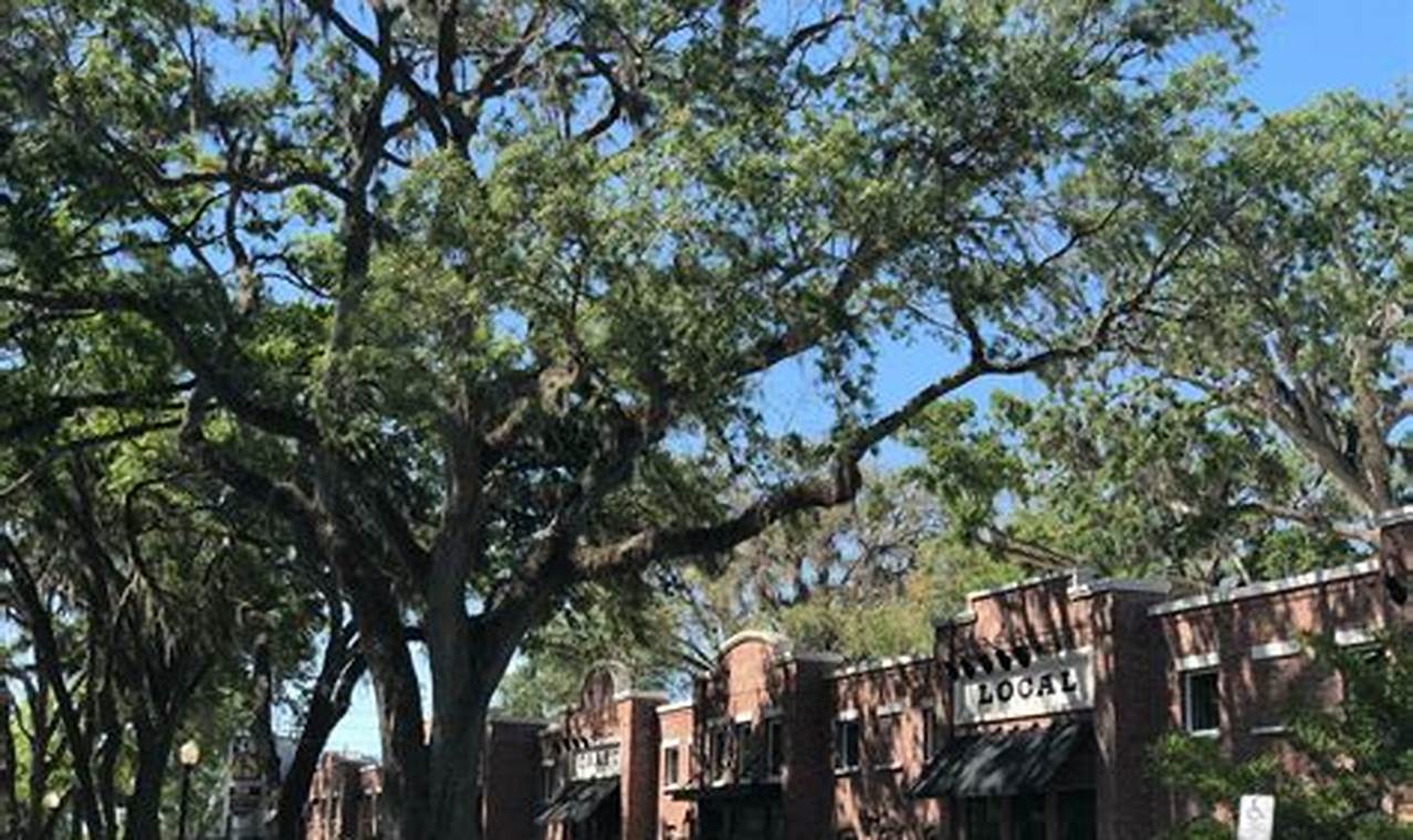 Winter Fun: O Que Fazer em Winter Garden, Florida The Ultimate Gardening Guide: Grow a Thriving Garden Year-Round Winter Fun: O Que Fazer em Winter Garden, Florida | The Ultimate Gardening Guide: Grow a Thriving Garden Year-Round