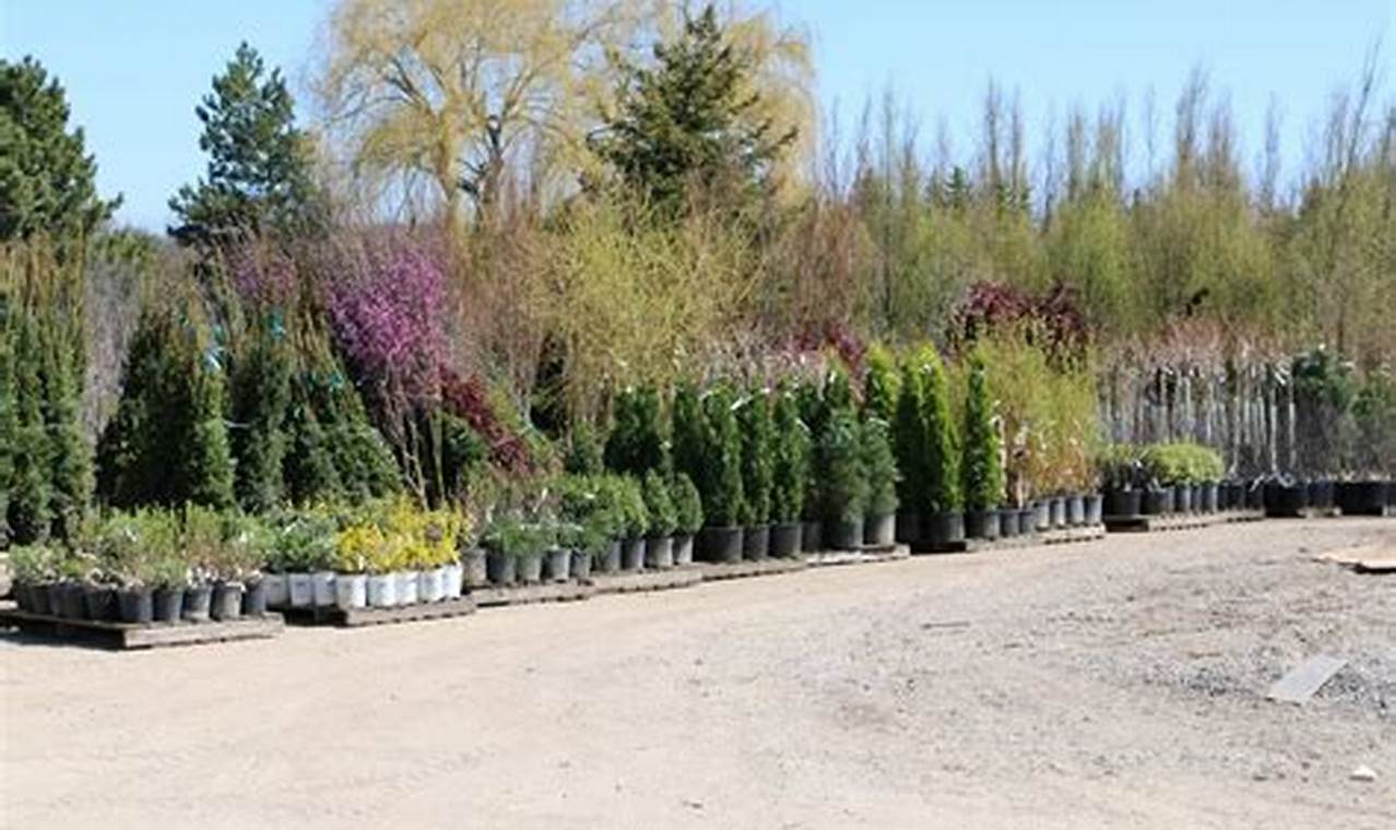 Winter Wonders: Nursery in Winter Garden Tips | The Ultimate Gardening Guide: Grow a Thriving Garden Year-Round