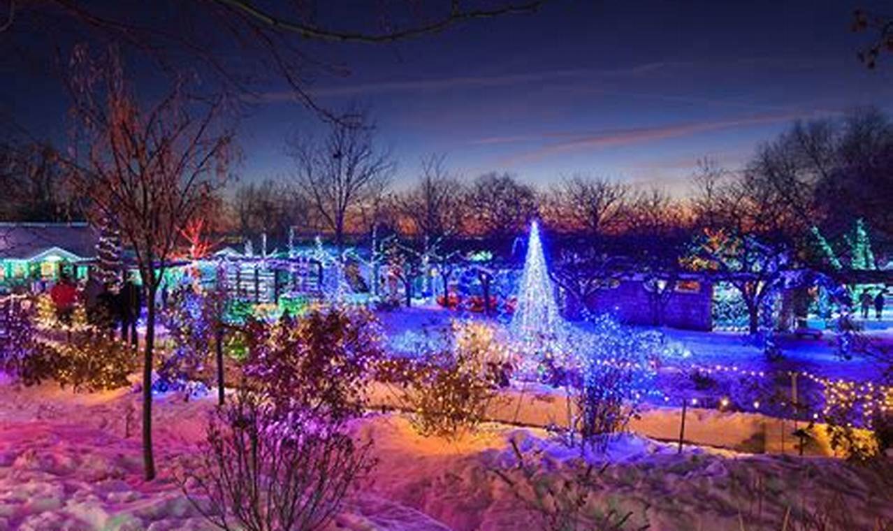 Experience the Magic: A Winter Garden Aglow Event | The Ultimate Gardening Guide: Grow a Thriving Garden Year-Round