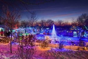 Boise's Winter Garden Aglow: A Magical Light Display | The Ultimate Gardening Guide: Grow a Thriving Garden Year-Round