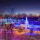 Boise's Winter Garden Aglow: A Magical Light Display | The Ultimate Gardening Guide: Grow a Thriving Garden Year-Round