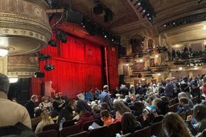 Winter Garden Theater NYC Seating: Best Seats + Tips The Ultimate Gardening Guide: Grow a Thriving Garden Year-Round Winter Garden Theater NYC Seating: Best Seats + Tips | The Ultimate Gardening Guide: Grow a Thriving Garden Year-Round