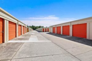 Winter Garden, FL Self Storage: Tips &amp; Options | The Ultimate Gardening Guide: Grow a Thriving Garden Year-Round