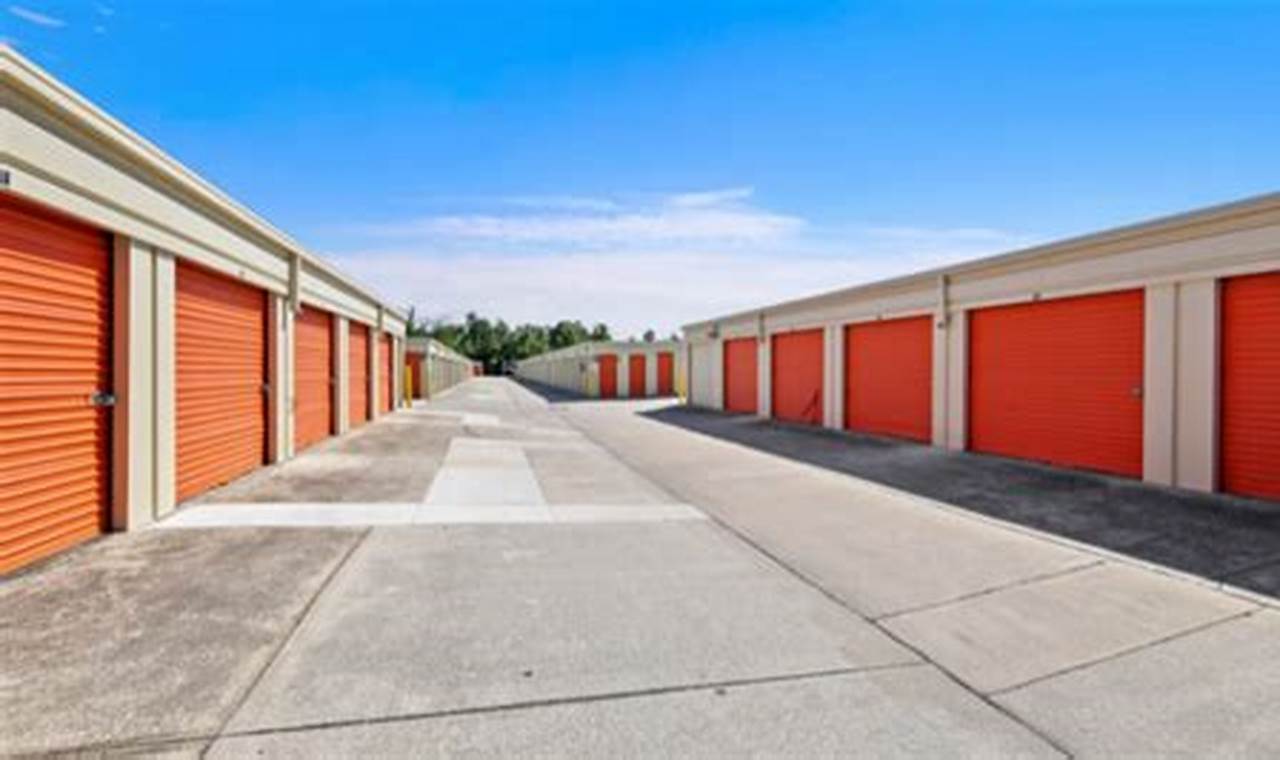 Winter Garden, FL Self Storage: Tips & Options The Ultimate Gardening Guide: Grow a Thriving Garden Year-Round Winter Garden, FL Self Storage: Tips & Options | The Ultimate Gardening Guide: Grow a Thriving Garden Year-Round