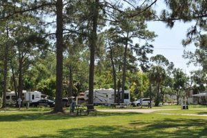 Your Winter Escape: Winter Garden RV Resort, FL Getaway The Ultimate Gardening Guide: Grow a Thriving Garden Year-Round Your Winter Escape: Winter Garden RV Resort, FL Getaway | The Ultimate Gardening Guide: Grow a Thriving Garden Year-Round