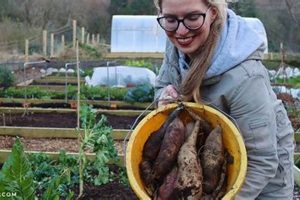 Find Winter Garden Jobs: Hiring Now! | The Ultimate Gardening Guide: Grow a Thriving Garden Year-Round