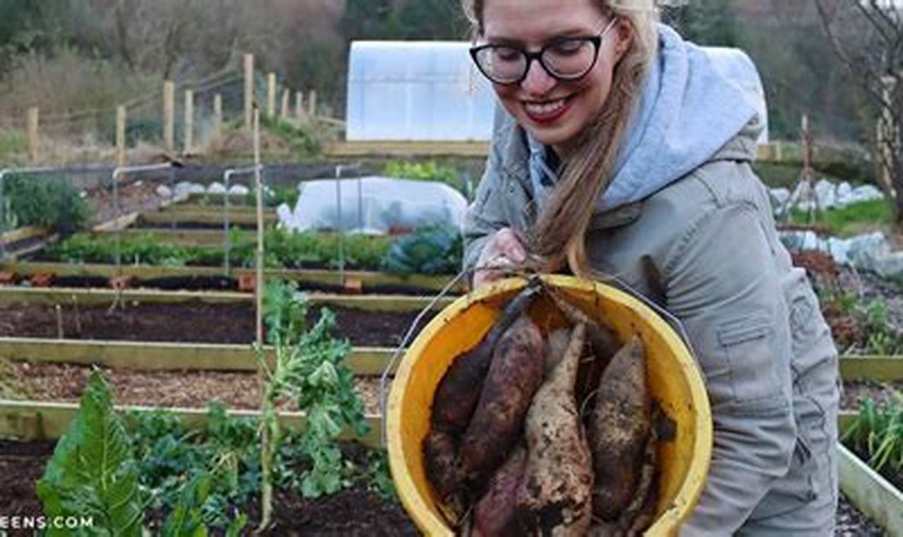 Find Winter Garden Jobs: Hiring Now! | The Ultimate Gardening Guide: Grow a Thriving Garden Year-Round