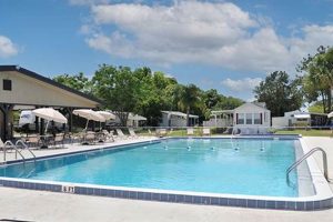 Escape to Winter Garden RV Resort: Your Winter Oasis | The Ultimate Gardening Guide: Grow a Thriving Garden Year-Round