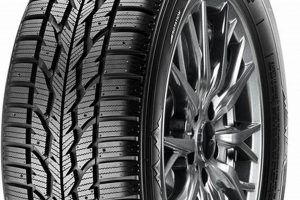 Winter Garden Firestone: Your Tire & Auto Experts | The Ultimate Gardening Guide: Grow a Thriving Garden Year-Round