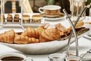 Top Winter Garden Brunch Spots: Your Best Brunch Guide | The Ultimate Gardening Guide: Grow a Thriving Garden Year-Round