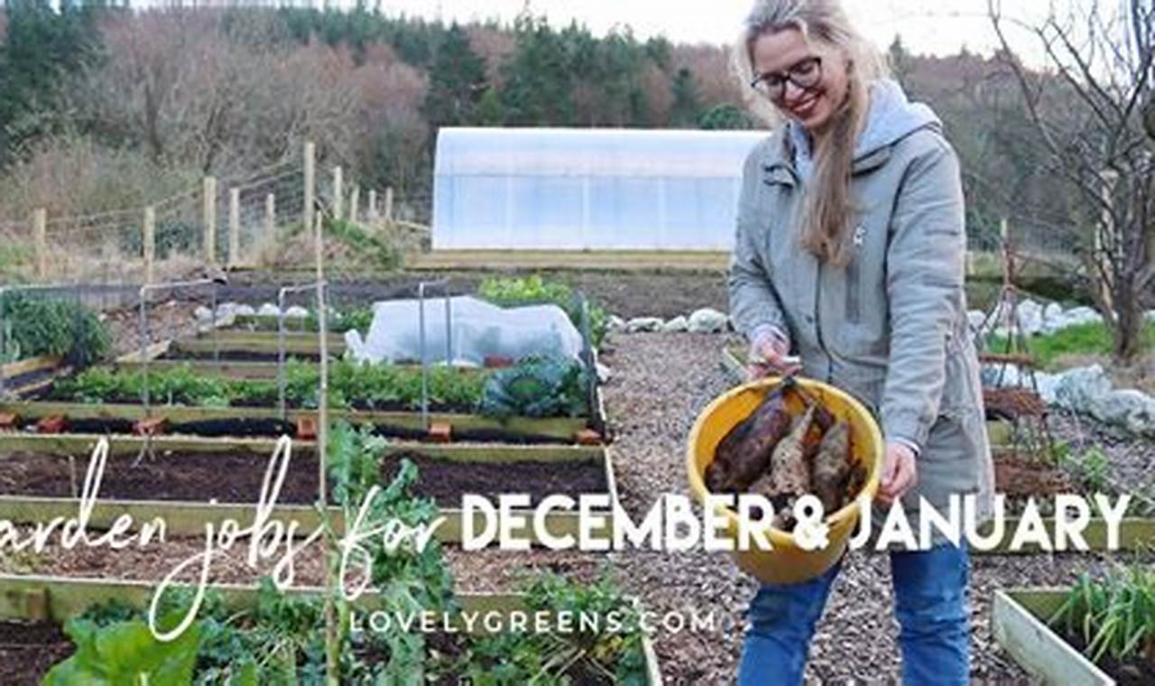 Winter Garden Jobs: Find Local Openings Now! | The Ultimate Gardening Guide: Grow a Thriving Garden Year-Round