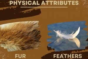 Winter's Fur & Feathers Garden: Wildlife Oasis! | The Ultimate Gardening Guide: Grow a Thriving Garden Year-Round
