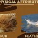Winter's Fur & Feathers Garden: Wildlife Oasis! | The Ultimate Gardening Guide: Grow a Thriving Garden Year-Round