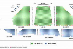 Winter Garden Theater NYC Seating Chart Guide | The Ultimate Gardening Guide: Grow a Thriving Garden Year-Round
