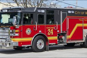Winter Garden Fire Department: Services & Safety Tips | The Ultimate Gardening Guide: Grow a Thriving Garden Year-Round