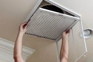 Winter's Best Duct Cleaning Winter Garden FL: Breathe Easy! | The Ultimate Gardening Guide: Grow a Thriving Garden Year-Round