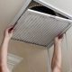 Winter's Best Duct Cleaning Winter Garden FL: Breathe Easy! | The Ultimate Gardening Guide: Grow a Thriving Garden Year-Round