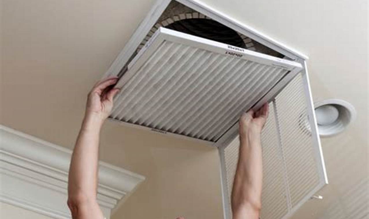 Winter's Best Duct Cleaning Winter Garden FL: Breathe Easy! The Ultimate Gardening Guide: Grow a Thriving Garden Year-Round Winter's Best Duct Cleaning Winter Garden FL: Breathe Easy! | The Ultimate Gardening Guide: Grow a Thriving Garden Year-Round