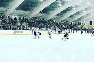 Skate & Score: Winter Garden Ice Arena Ridgefield, CT Fun! | The Ultimate Gardening Guide: Grow a Thriving Garden Year-Round