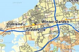 Winter Garden, FL 34787 Map: Your Local Guide | The Ultimate Gardening Guide: Grow a Thriving Garden Year-Round
